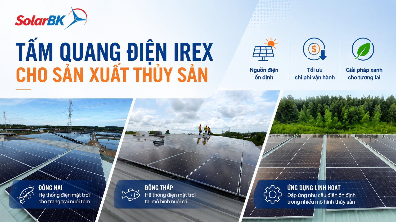Tấm quang điện IREX trong các mô hình thủy sản